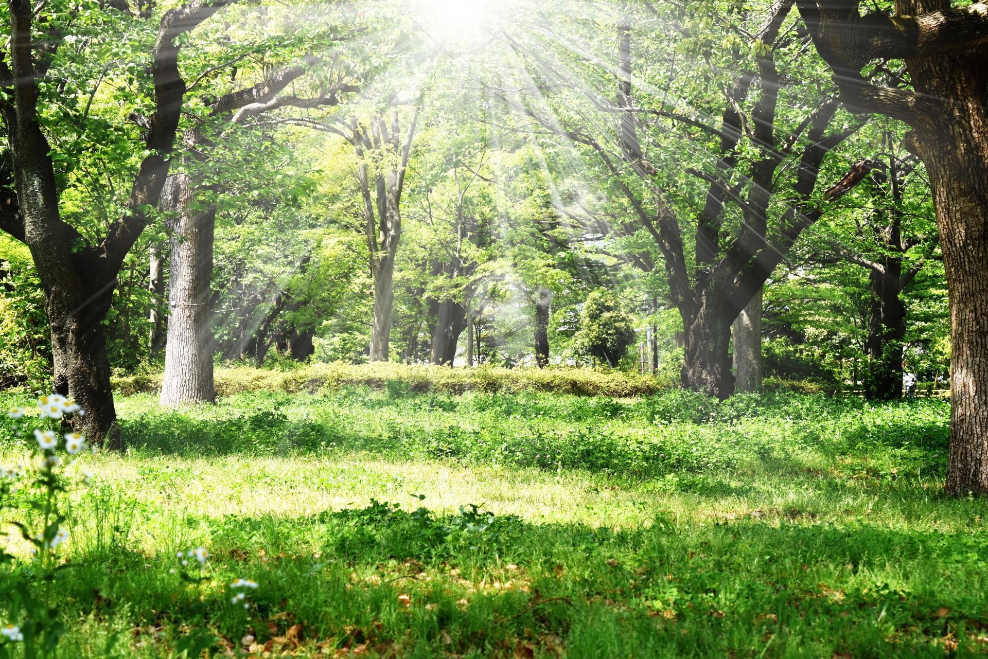 量子波動検査解析器サードアイ