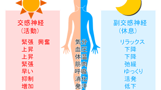 G.W限定！自律神経トリートメントセッション受付開始