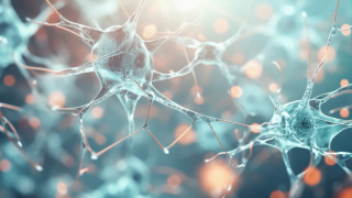 自律神経も老化するってホント？