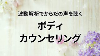 ボディカウンセリング（対面）｜量子波動検査解析器サードアイ